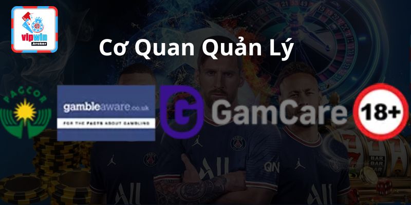 Giấy Phép Hoạt Động VIPWIN Uy Tín Hàng Đầu 3 cơ quan pháp lý vipwin
